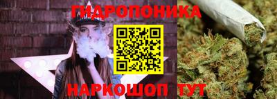 a pvp Пушкино