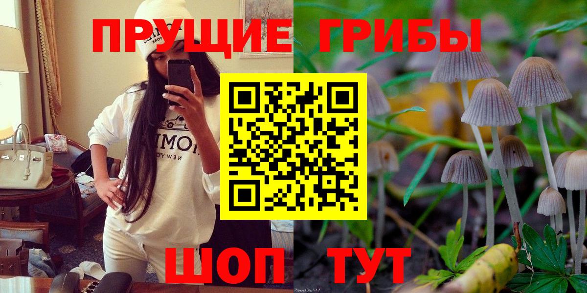 цены наркотик  Псилоцибиновые грибы прущие грибы  Вход с VPN  Приморско-Ахтарск 