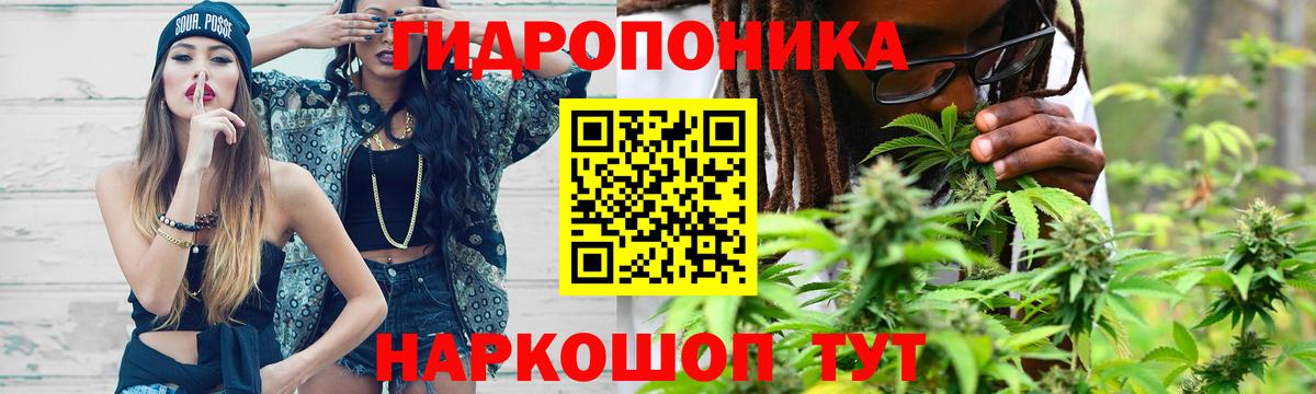 Конопля план Приморско-Ахтарск